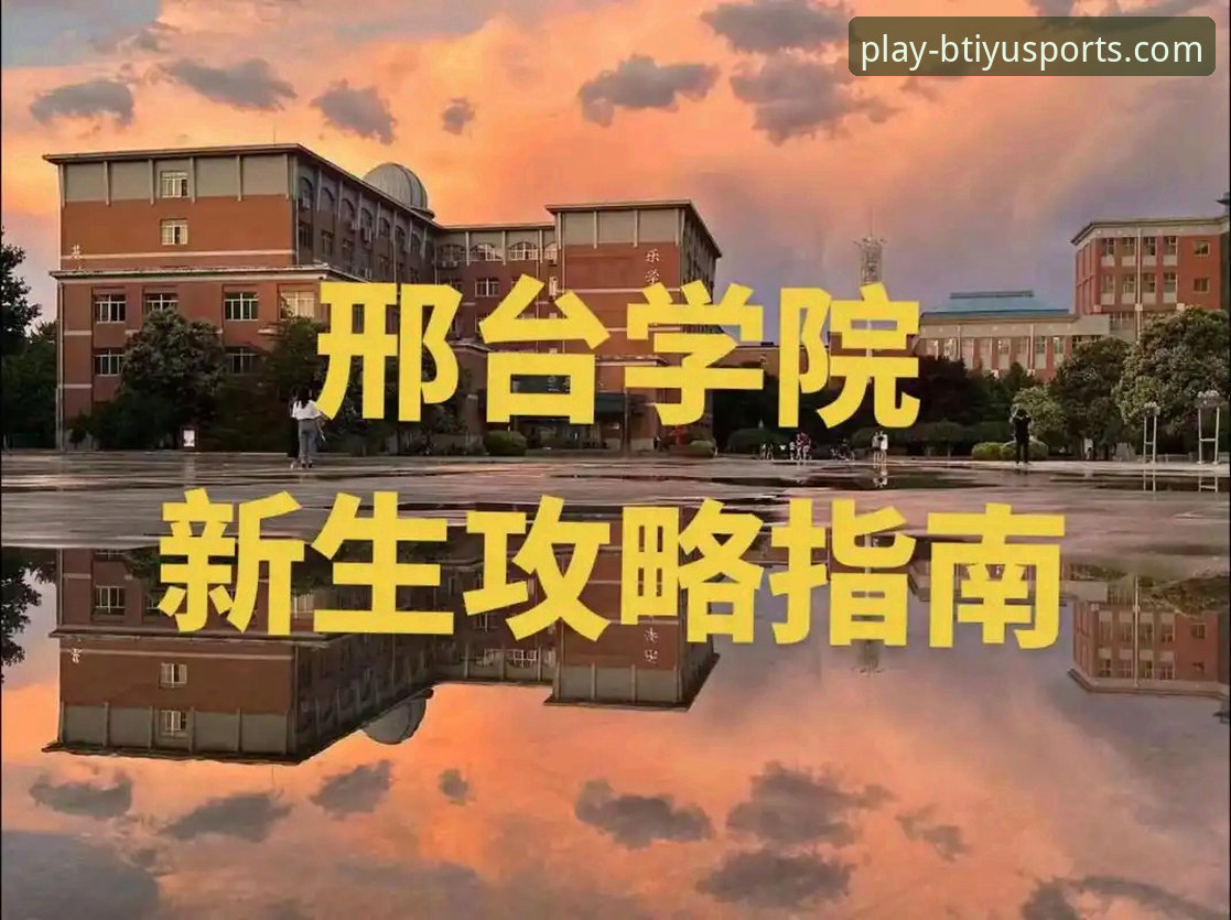 B体育平台登录的7大关键要点：从下载到安全使用的完整指南